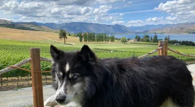 Lake Chelan, Washington