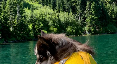 Alpine Lakes, Washington
