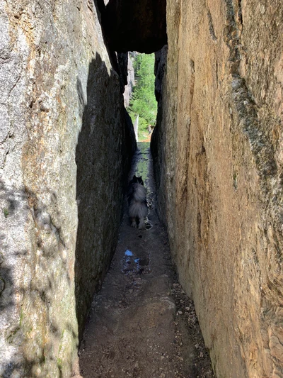 Stud in the Needles, Black Hills