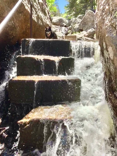 Stud at a waterfall in the Black Hills