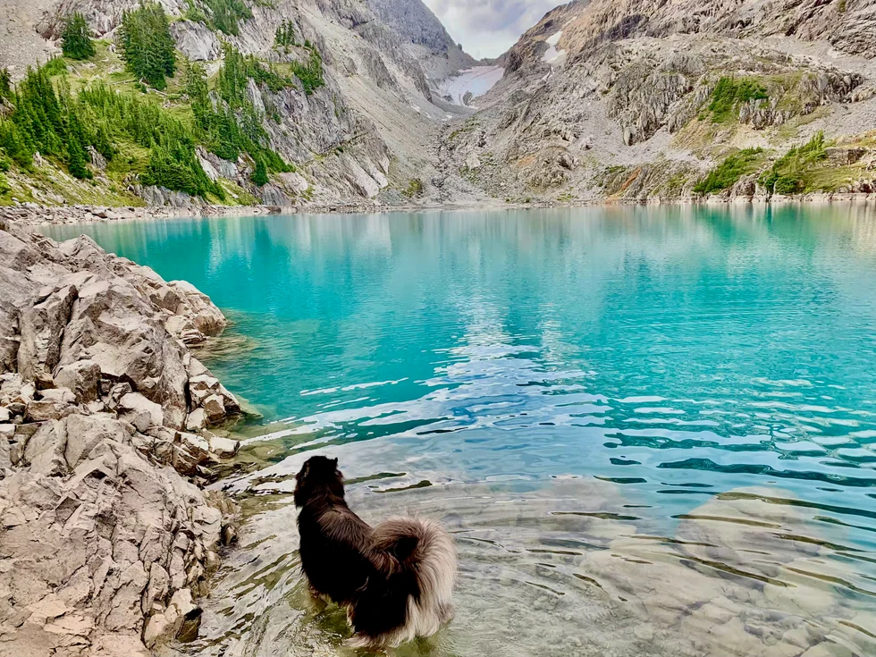 Stud in the blue lake, summer