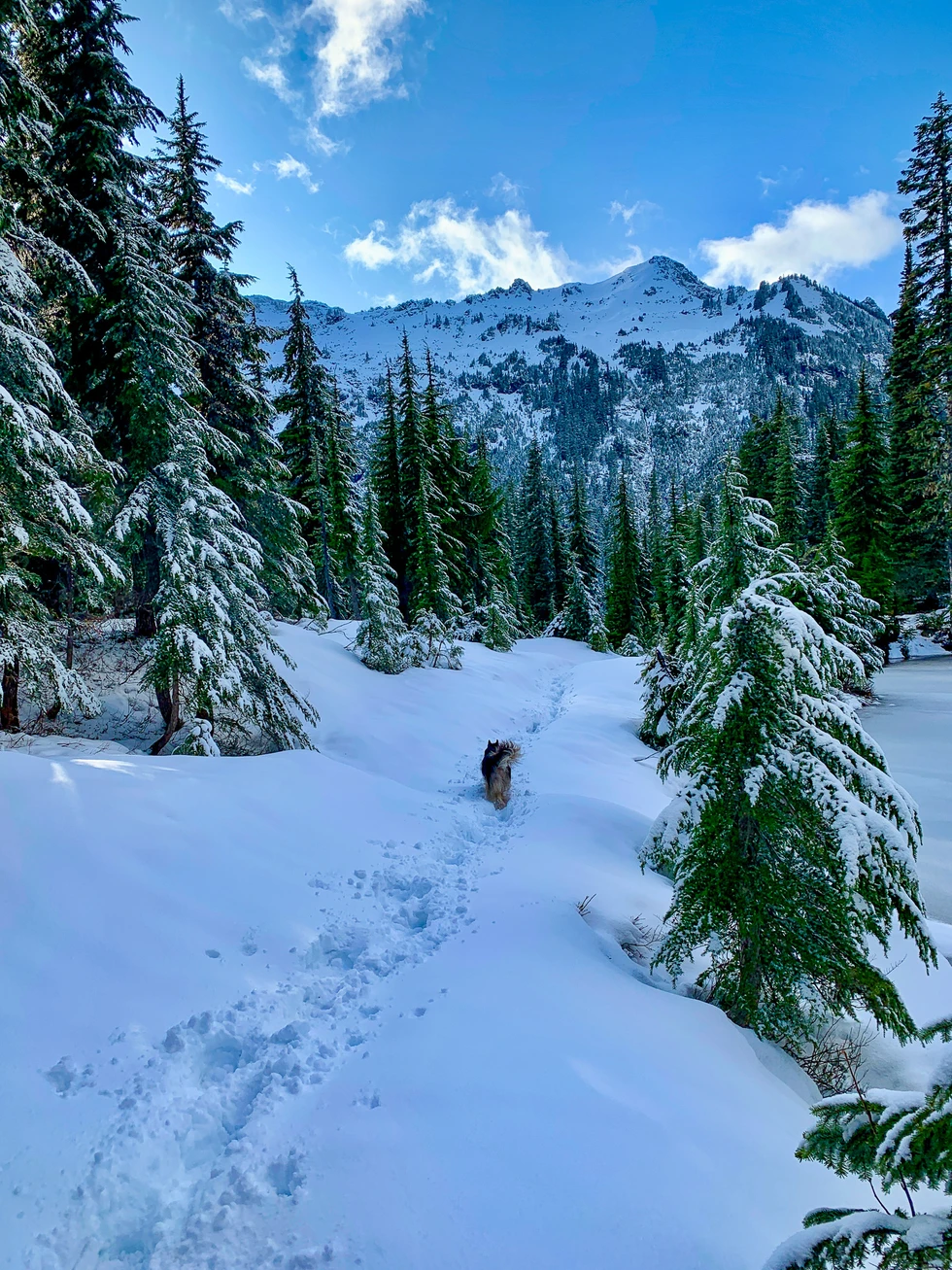 On the way up to the blue lake in the snow