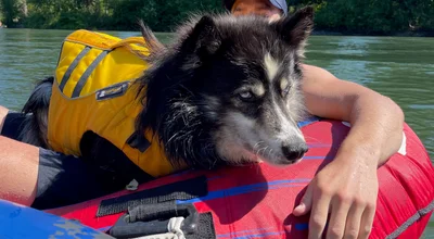 Snoqualmie River, Washington