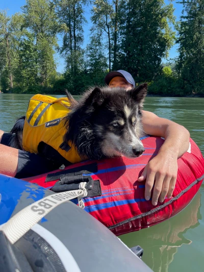 Tubing the Snoqualmie River