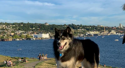 Gas Works Park, Washington