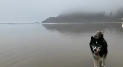 Cannon Beach, Oregon