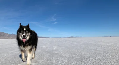 Bonneville Salt Flats, Utah