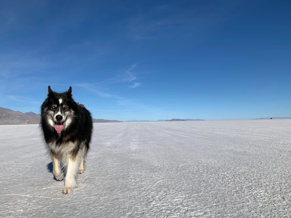 Winter adventure