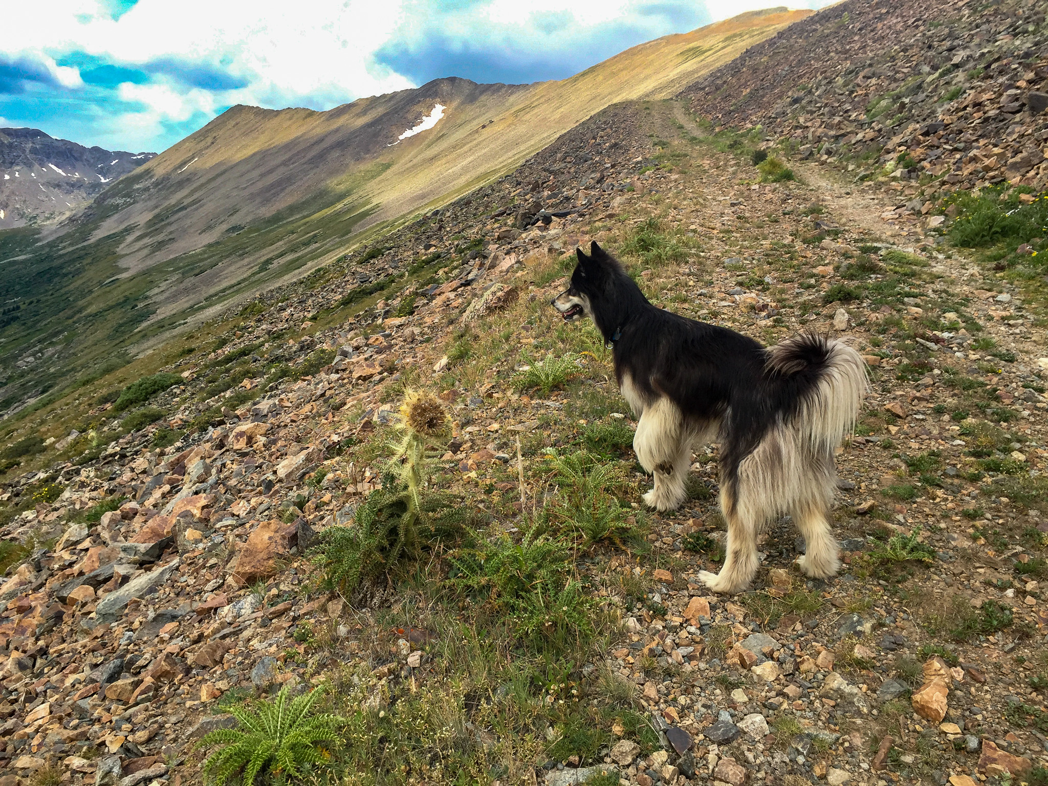 Studly taking a break